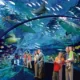 Ripley's Aquarium – самый большой аквариум в Канаде