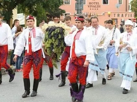 «Палавский сбор винограда»