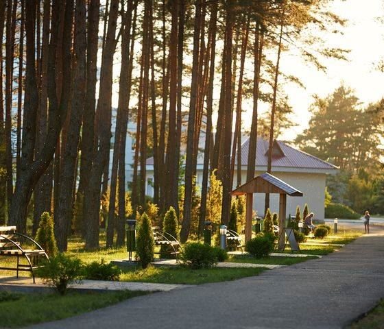 «Альфа Радон» – зимняя сказка для всей семьи