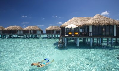 Бесплатные сноркелинг-туры с гидом в Velassaru Maldives