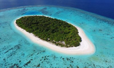 Путешествие по домашнему рифу Faarufushi Maldives: сноркелинг