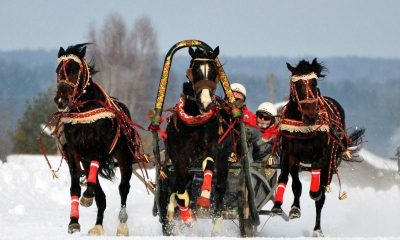 «Праздник Русской Тройки» Пронесётся в Вологодском районе