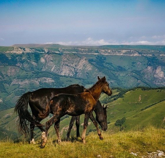 Незаслуженно забытый Ставропольский край