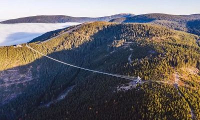 Где можно пройти по самому длинному подвесному мосту в мире?