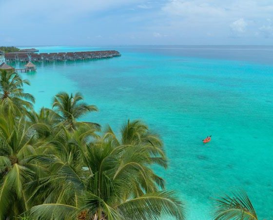 Добавьте Kuramathi Maldives в свой список желаний