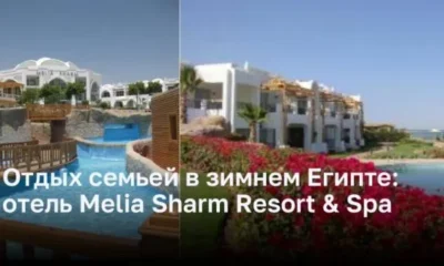 Отдых семьей в зимнем Египте: отель Melia Sharm Resort & Spa