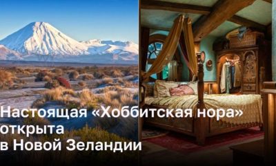 Настоящая «Хоббитская нора» открыта для поклонников «Властелина колец» в Новой Зеландии