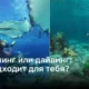 Какое подводное приключение выбрать: снорклинг или дайвинг?