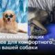 7 лучших охлаждающих ковриков для комфортного отдыха вашей собаки