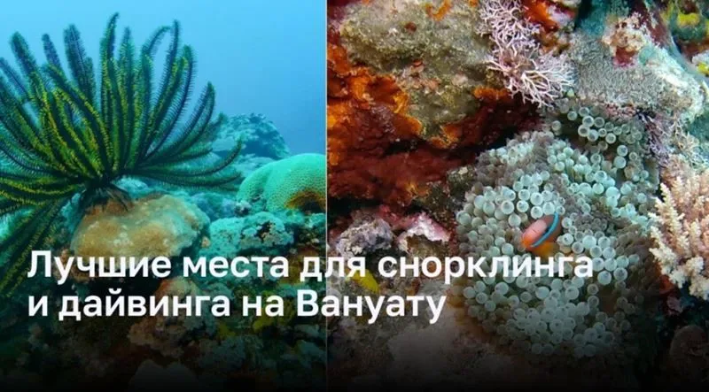 Откройте Подводный Мир Вануату